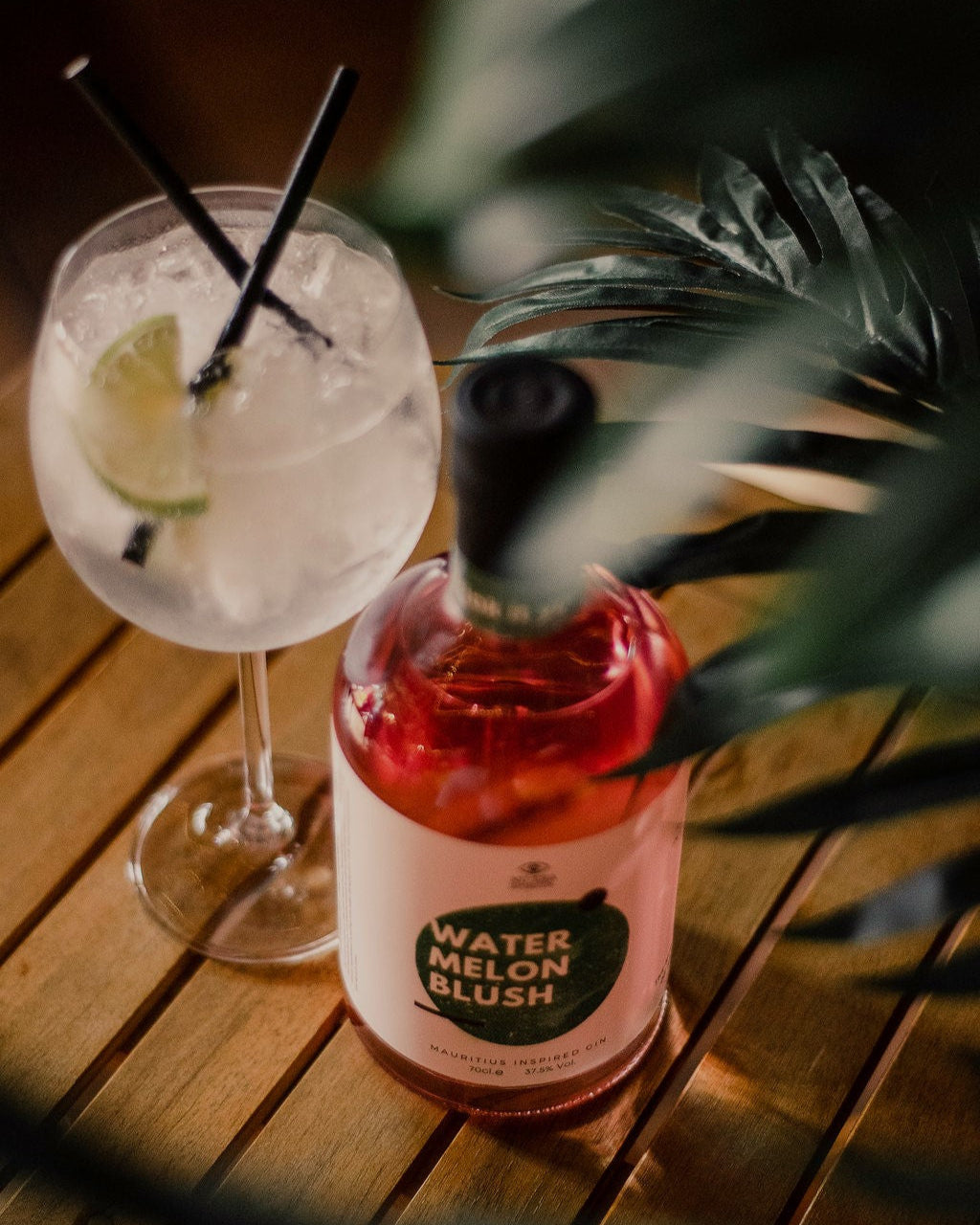 NU ERA SPIRITS WATERMELON GIN